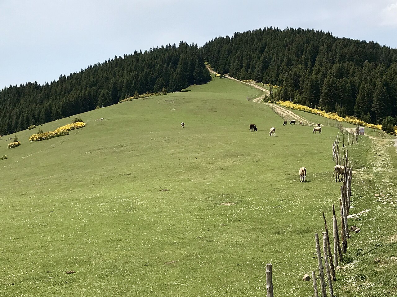 Giresun · Kümbet Yaylası — Giresun